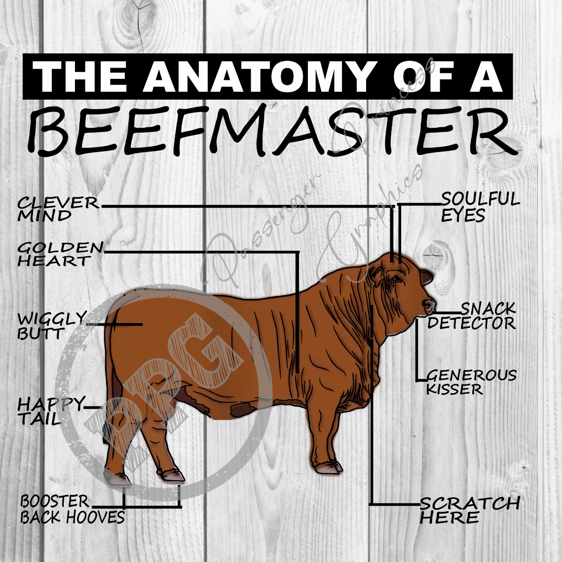 The Anatomy Of A Beefmaster PNG Download