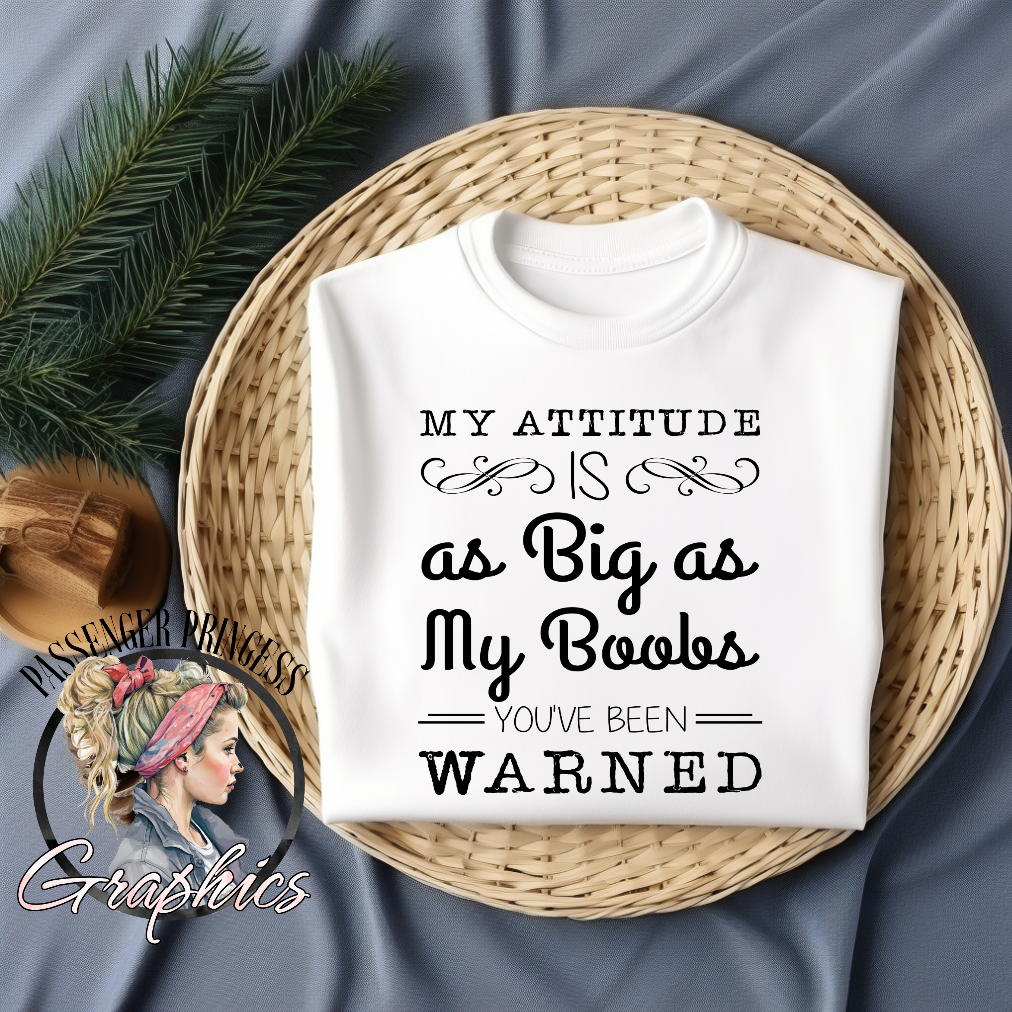 My Attitude Is As Big As My Boobs You've Been Warned PNG Download