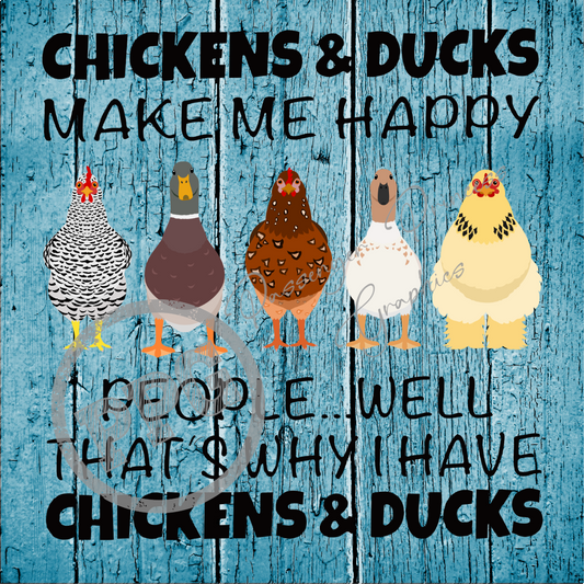 Chickens And Ducks Make Me Happy PNG Download