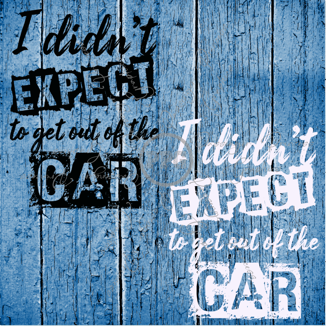 I Didn't Expect To Get Out Of The Car ( Black & White Files ) PNG Download