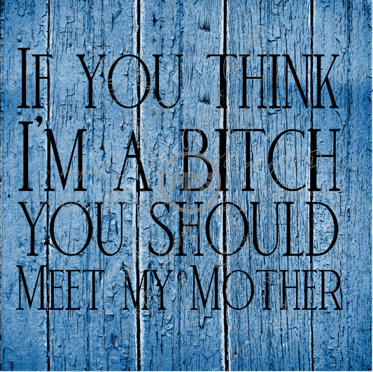 If You Think I'm A Bitch You Should Meet My Mother PNG Download