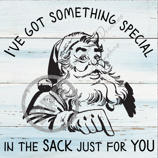 I've Got Something Special In The Sack Just For You PNG Download