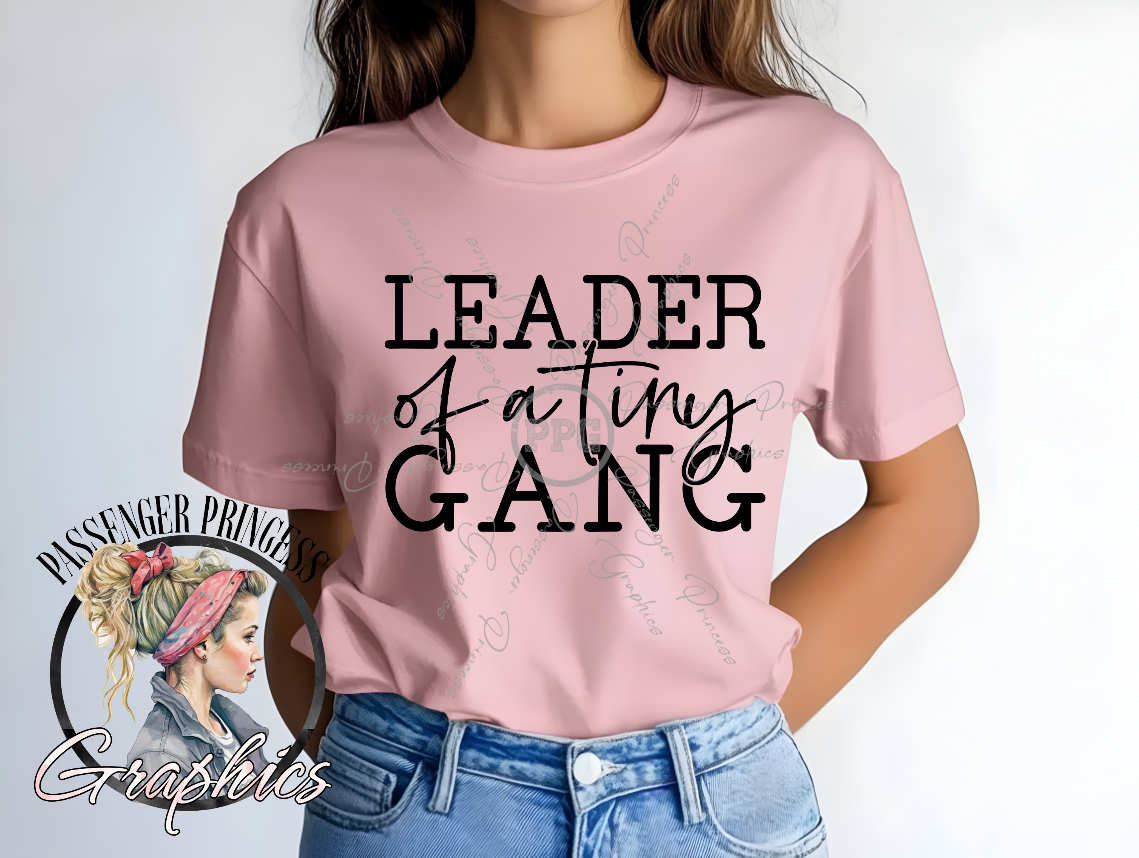 Leader Of A Tiny Gang PNG Download