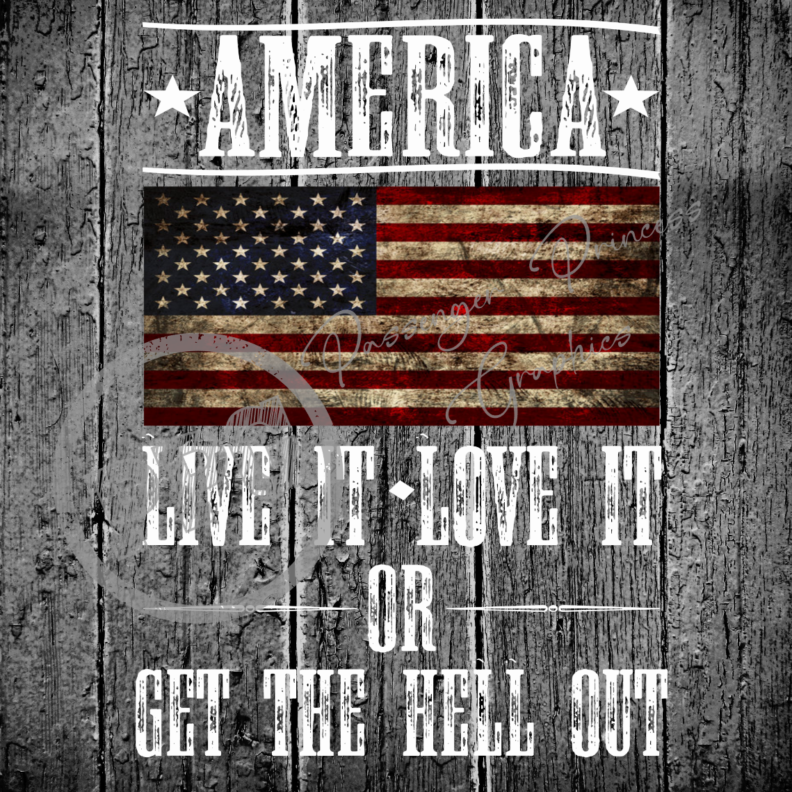 America Live It Love It Or Get The Hell Out PNG Download