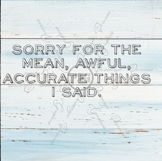 Sorry For The Mean Awful Accurate Things I Said PNG Download