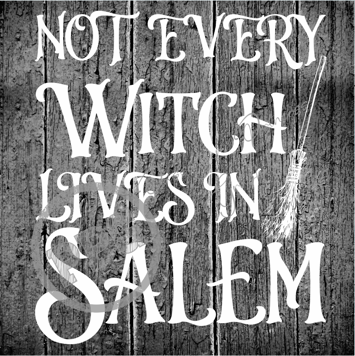 Not Every Witch Lives In Salem PNG Download